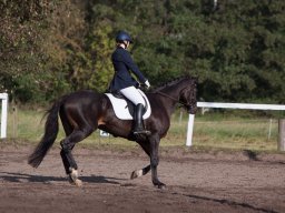 IMG_7805_web